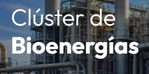 Clúster de Bioenergías